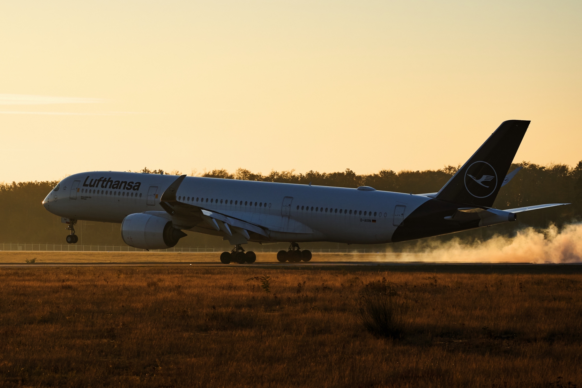 Lufthansa A350-900 Touchdown